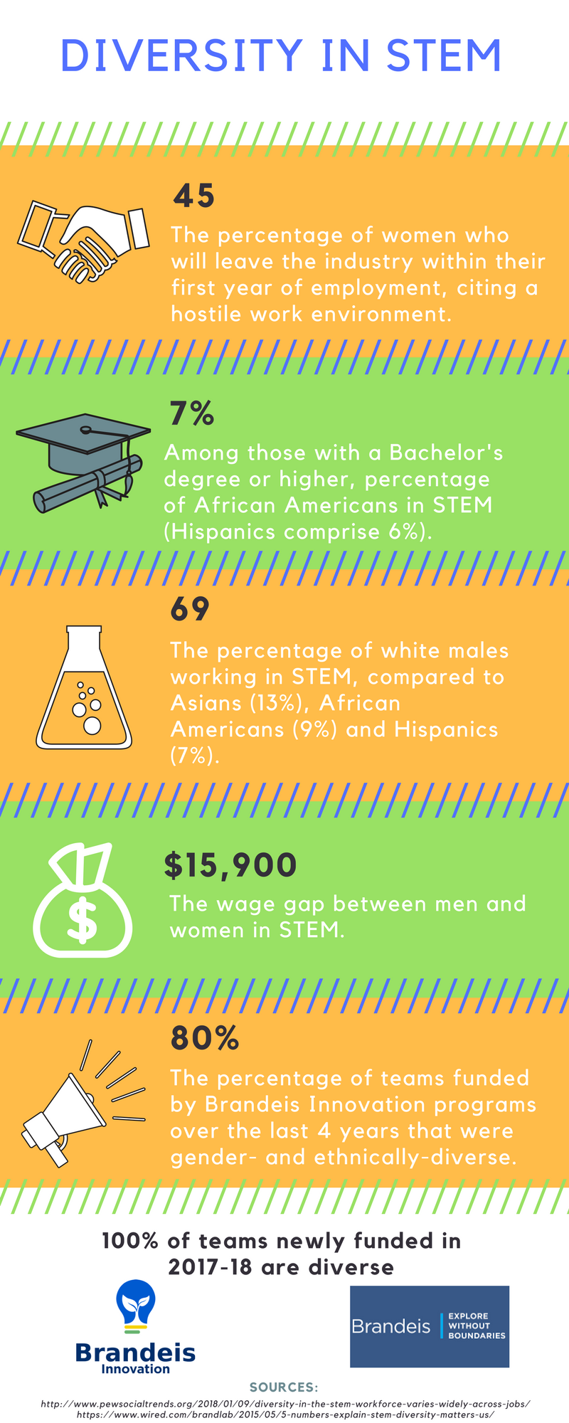Diversity in STEM Infographic